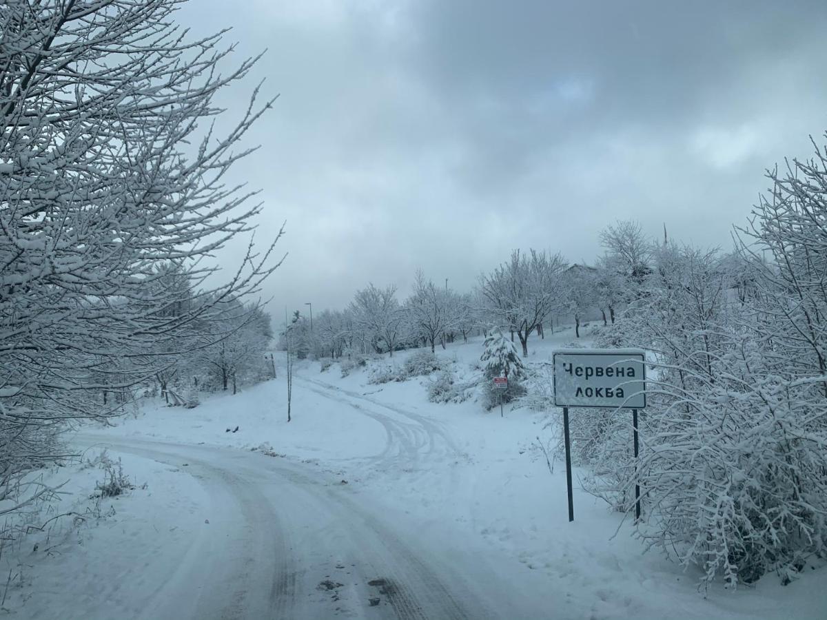 Guest House Daskalov Chervena Lokva Εξωτερικό φωτογραφία